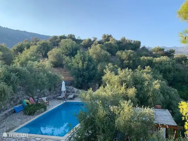 The swimming pool with the roof of the bbq terrace on the right.