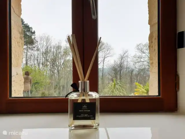 Péchanette | France, Dordogne, Aubas - maison de vacances Détail