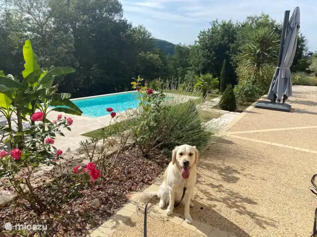 Péchanette | France, Dordogne, Aubas - maison de vacances piscine