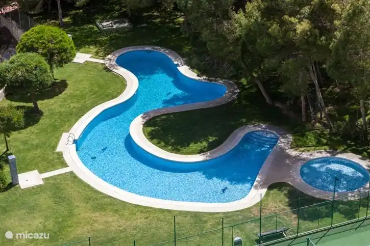 Schwimmbad zwischen den Kiefern