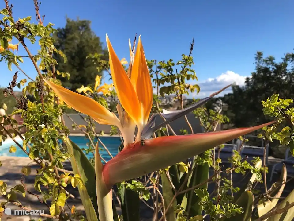 Finca Vuyatela 2-10 Gäste