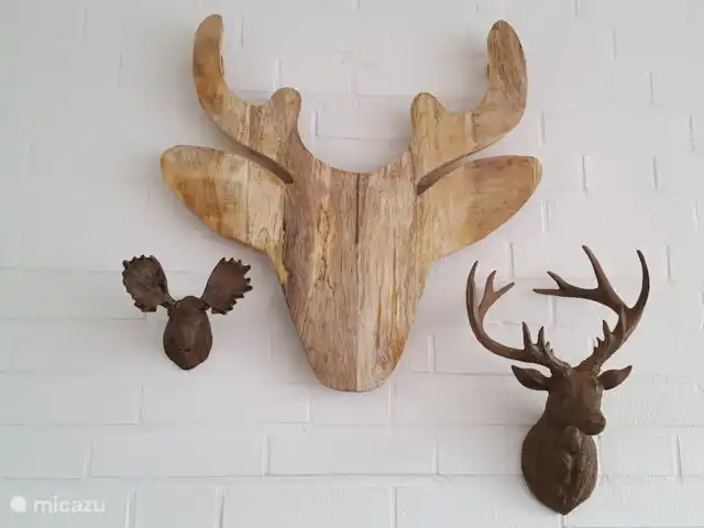 Vosseven 38 en Países Bajos, Limburgo, Stramproy - casa vacacional El ciervo.