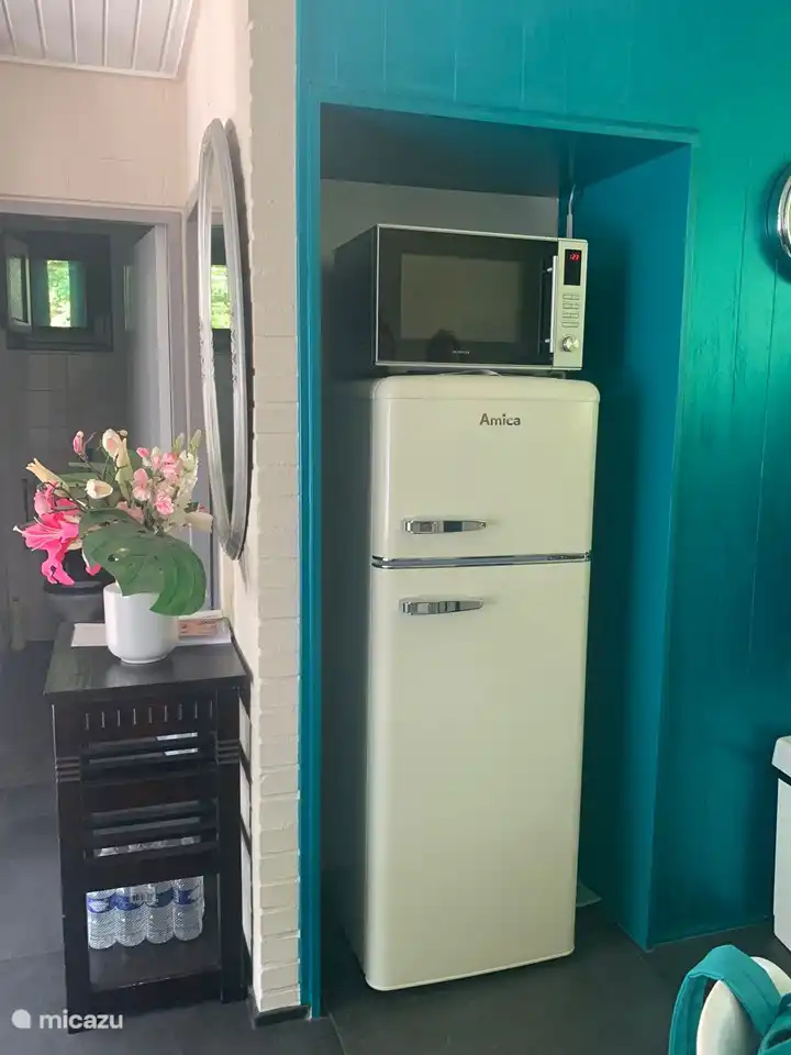 Combimagnetron plus koelkast met vriesgedeelte.