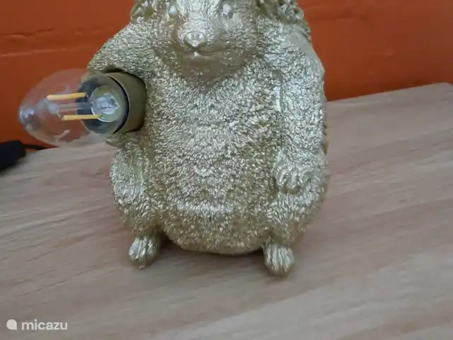 Vosseven 38 en Países Bajos, Limburgo, Stramproy - casa vacacional