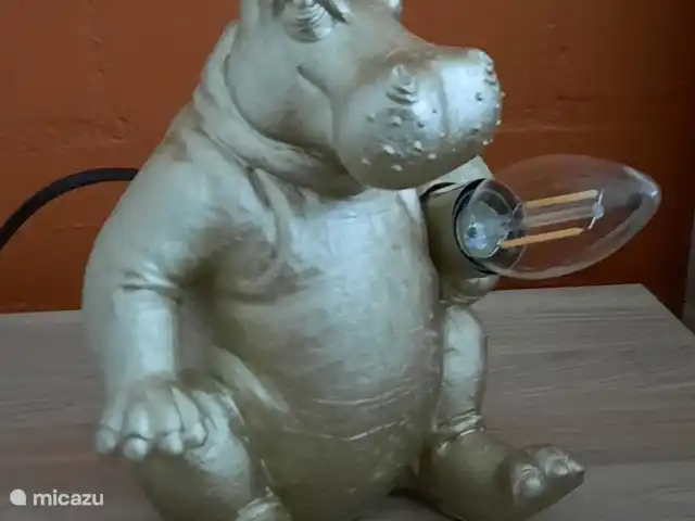 Vosseven 38 en Países Bajos, Limburgo, Stramproy - casa vacacional Bonita lámpara de mesita de noche para leer o charlar sobre el gran día.