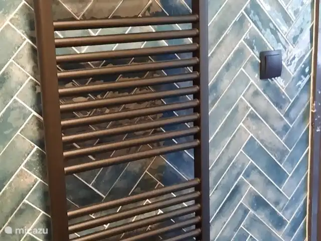 Vosseven 38 en Países Bajos, Limburgo, Stramproy - casa vacacional Radiador de diseño ideal para toallas calientes.