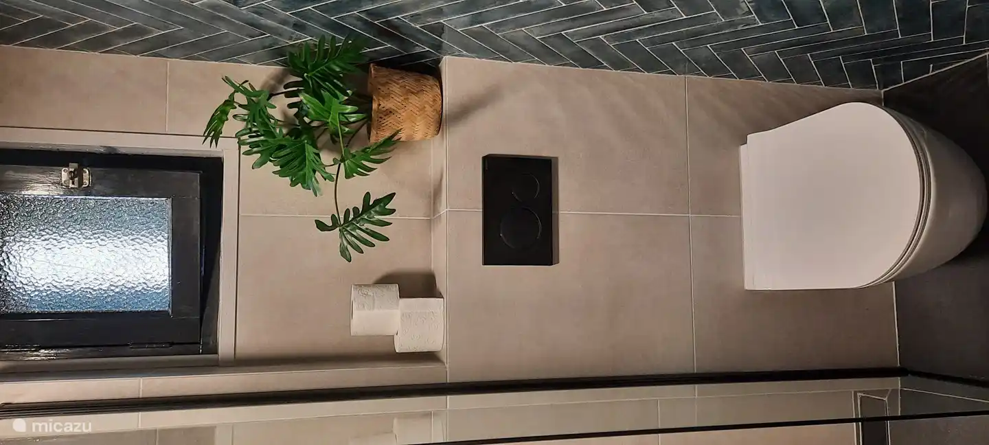 vernieuwde hangende toilet.