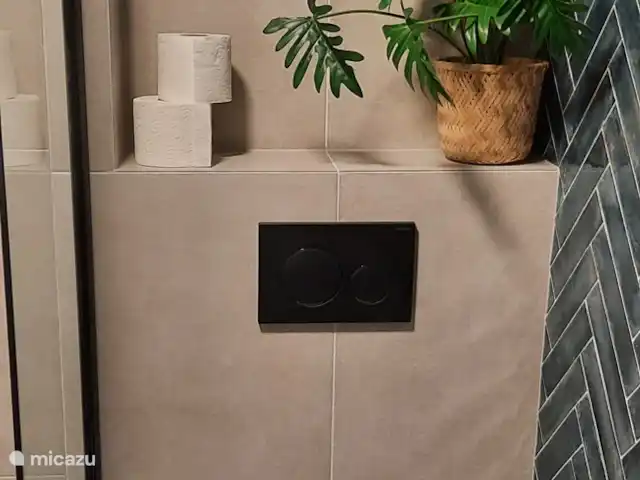 Vosseven 38 en Países Bajos, Limburgo, Stramproy - casa vacacional Inodoro suspendido reformado.