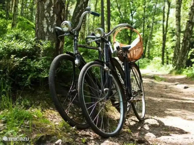 Vosseven 38 en Países Bajos, Limburgo, Stramproy - casa vacacional Ruta de cruce frente a la puerta.