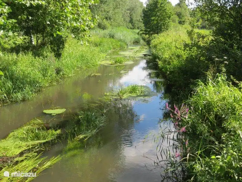 Grenspark Kempen~Broek is een 25.000 hectare (250 km²) groot Nederlands en Belgisch grensoverschrijdend landschap dat gekenmerkt wordt door een aaneenschakeling van natuurgebieden. Het bevindt zich in de provincies Nederlands Limburg en Belgisch Limburg, ruwweg tussen Weert en Maaseik. 