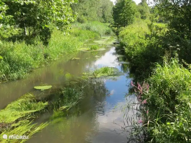 Vosseven 38 en Países Bajos, Limburgo, Stramproy - casa vacacional Grenspark Kempen~Broek es un gran paisaje transfronterizo holandés y belga de 25.000 hectáreas (250 km²) que se caracteriza por una sucesión de áreas naturales. Se encuentra en las provincias de Limburgo holandés y Limburgo belga, aproximadamente entre Weert y Maaseik.