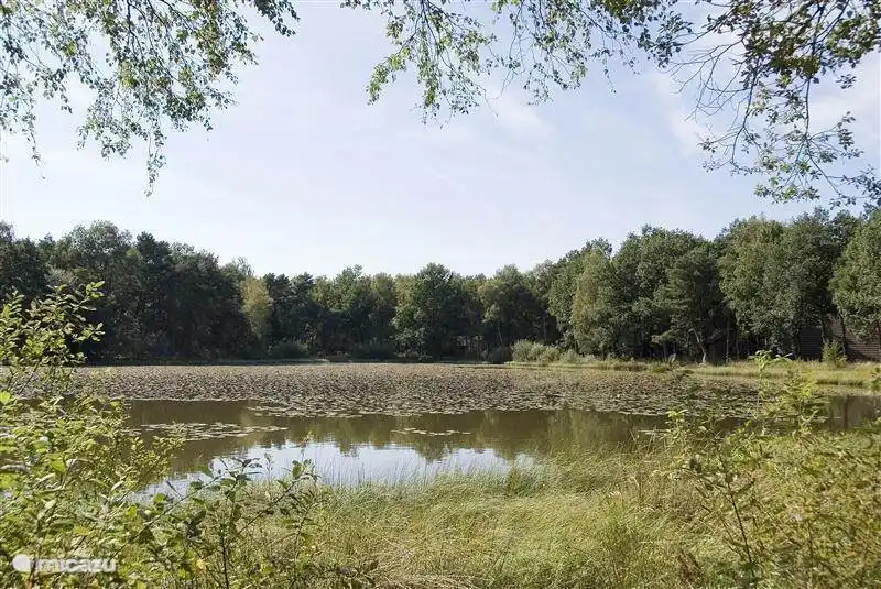 Het Ven op het park.