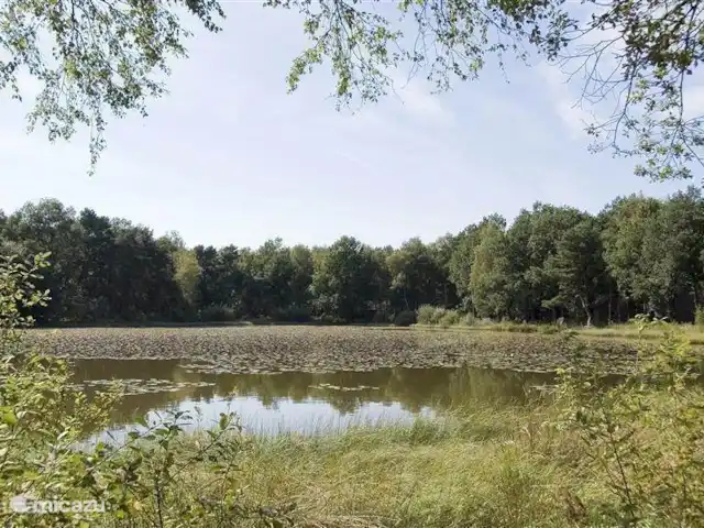Vosseven 38 en Países Bajos, Limburgo, Stramproy - casa vacacional El Ven en el parque.