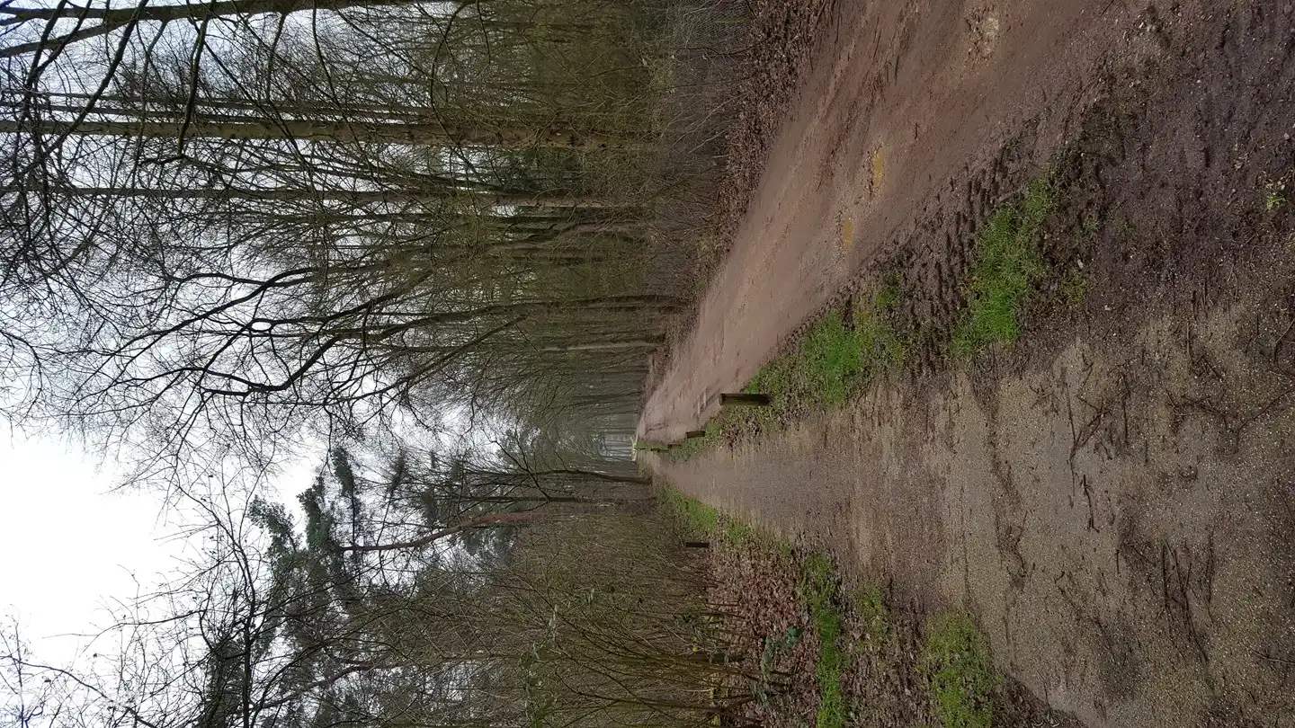 Als je het park verlaat sta je meteen in het bos met heerlijke wandel en fietspaden.