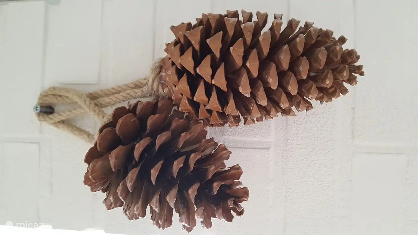 Ook de sfeer van buiten brengen we naar binnen.