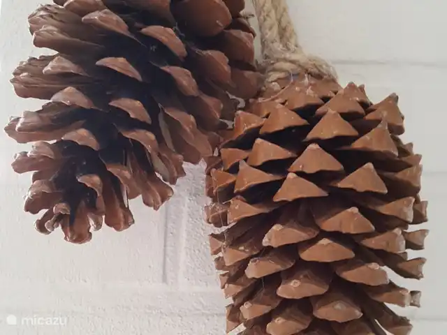 Vosseven 38 en Países Bajos, Limburgo, Stramproy - casa vacacional También traemos el ambiente de afuera hacia adentro.