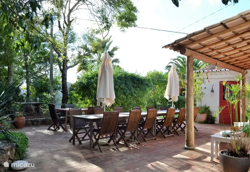 Genießen Sie Ihr Frühstück oder Abendessen in der Sonne auf der Terrasse des Monte Rosa.