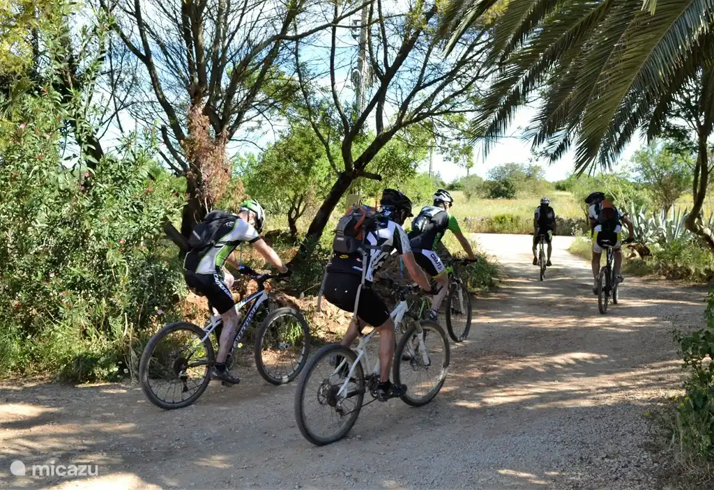 Monte Rosa ist der ideale Ausgangspunkt, um den Südwesten der Algarve zu Fuß oder mit dem Fahrrad zu erkunden.