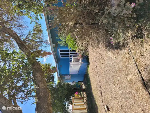 Super beau bungalow 3 chambres | Curaçao, Banda Ariba (est), Seru Coral - bungalow