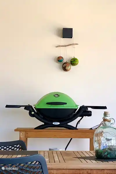 Gasgrill