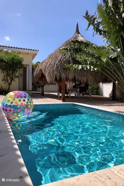 Swimmingpool, Garten, Palapa, Sonnenliegen