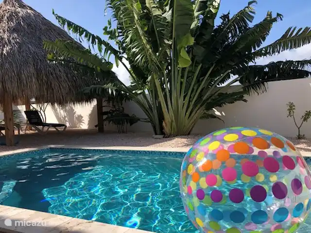 Location de Vacances Curaçao, Banda Abou (ouest), Fontein, maison de vacances - Maison Amandus Piscine Jardin Palapa