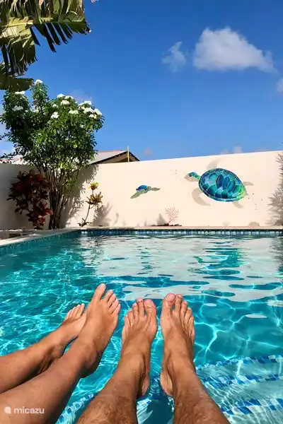 Swimmingpool, Garten,