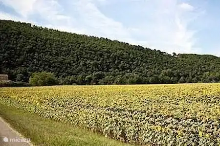 Le Lot et Garonne, la Toscane française