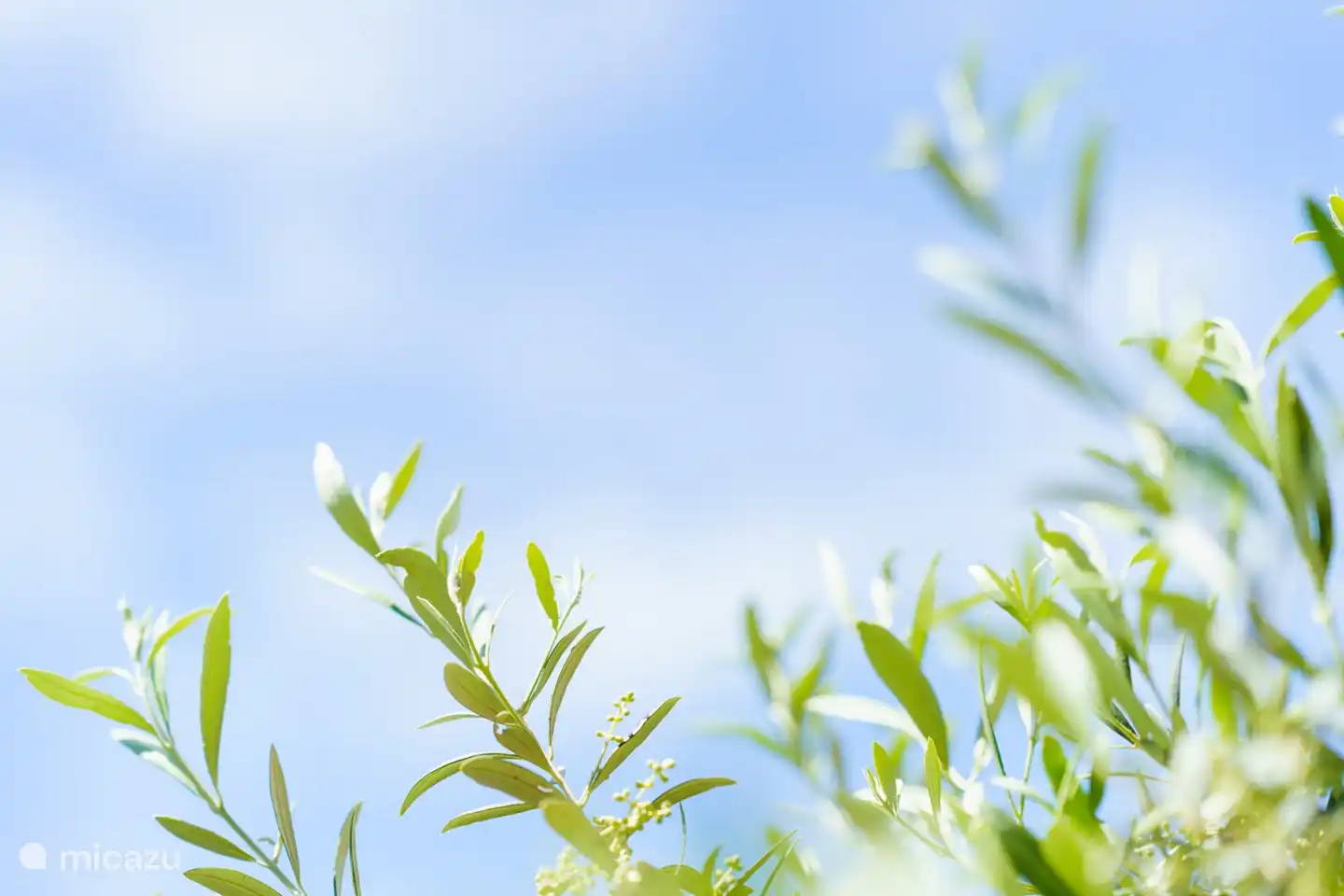 Disfruta de la naturaleza...