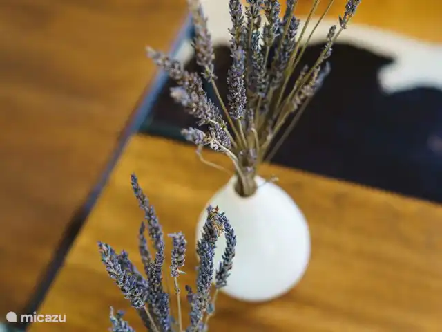 Logement Onze - Gîte 'Clémence' huren in Frankrijk, Aude, Raissac-d'Aude - appartement geurige lavendel...