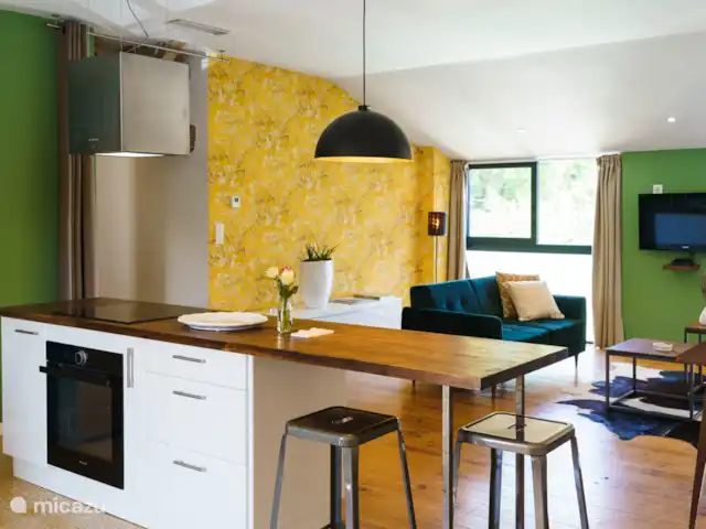 Logement Onze - Gîte 'Clémence' huren in Frankrijk, Aude, Raissac-d'Aude - appartement De lichte ruime living van de gîte