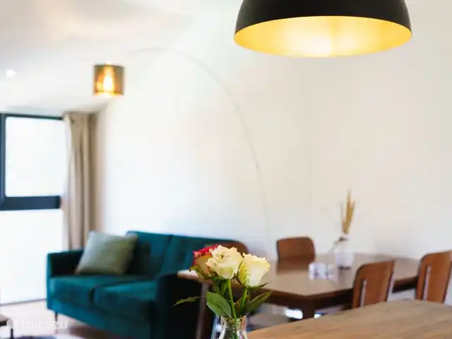 Logement Onze - Gîte 'Clémence' huren in Frankrijk, Aude, Raissac-d'Aude - appartement De lichte ruime living van de gîte