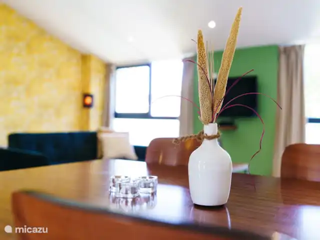 Logement Onze - Gîte 'Clémence' huren in Frankrijk, Aude, Raissac-d'Aude - appartement De lichte ruime living van de gîte