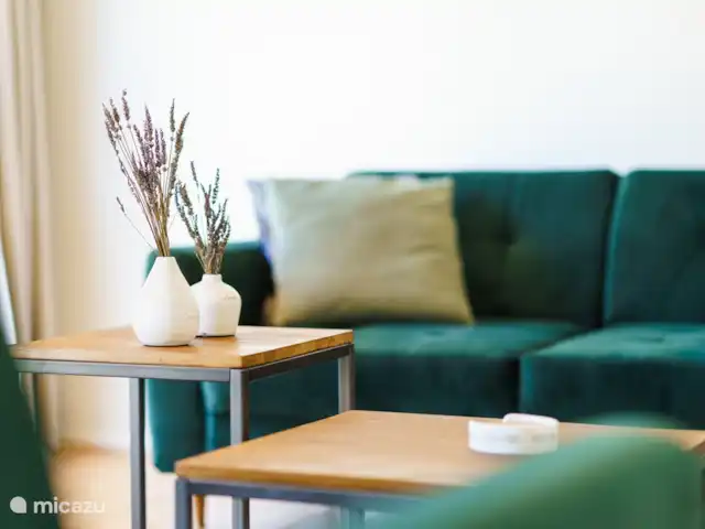 Logement Onze - Gîte 'Clémence' huren in Frankrijk, Aude, Raissac-d'Aude - appartement De lichte ruime living van de gîte
