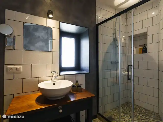 Logement Onze - Gîte 'Clémence' huren in Frankrijk, Aude, Raissac-d'Aude - appartement de moderne badkamer met regendouche