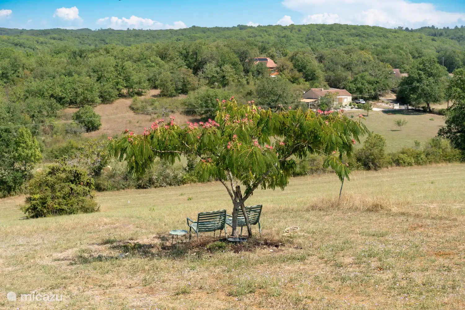 Ons favoriete plekje onder de Albizia.