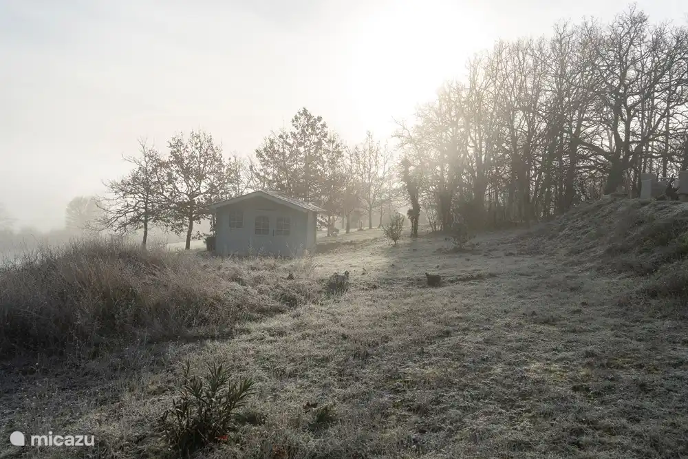 De tuin in de winter. 