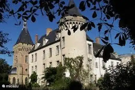 Château de Vieur