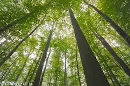 Belle réserve naturelle