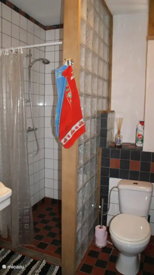 Beneden vindt u naast een toilet ook een extra douche en wastafel. Handig voor na het zwemmen!