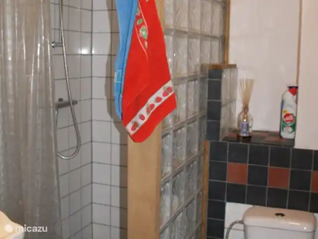 La Gare de Magnette | France, Allier, Magnette - maison de vacances Au rez-de-chaussée, vous trouverez une douche et un lavabo supplémentaires en plus des toilettes. Pratique après la baignade !