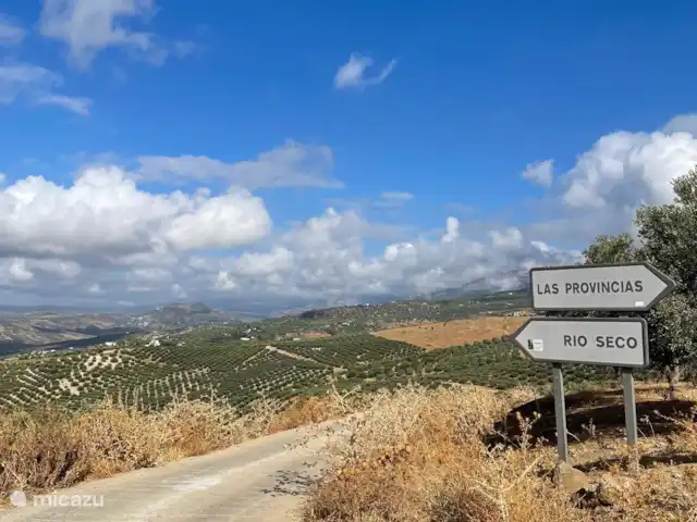 Finca El Sueno huren in Spanje, Andalusië, Pilarejo - villa Wandel door de uitgestrekte olijfboomgaarden