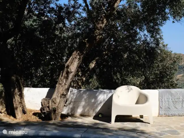 Finca El Sueno huren in Spanje, Andalusië, Pilarejo - villa impressie zwembad