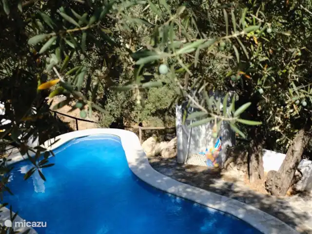 Finca El Sueno huren in Spanje, Andalusië, Pilarejo - villa Impressie zwembad