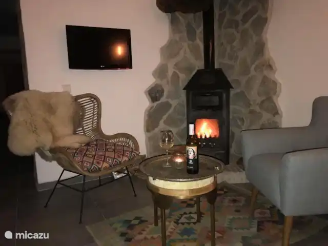 Finca El Sueno huren in Spanje, Andalusië, Pilarejo - villa houtkachel voor frisse avonden