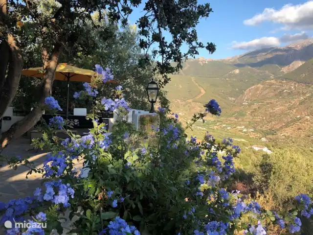 Finca El Sueno huren in Spanje, Andalusië, Pilarejo - villa De Plumbago bloeit volop..