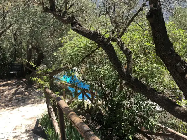 Finca El Sueno huren in Spanje, Andalusië, Pilarejo - villa impressie tuin