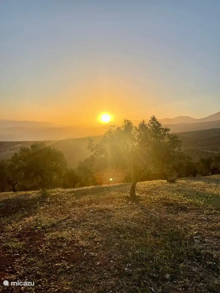 Sunset tussen de olijfbomen...