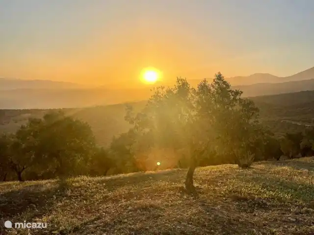 Finca El Sueno huren in Spanje, Andalusië, Pilarejo - villa Sunset tussen de olijfbomen...