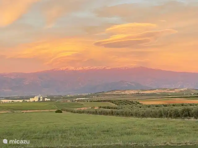 Finca El Sueno huren in Spanje, Andalusië, Pilarejo - villa Prachtige route richting Granada #no filter!